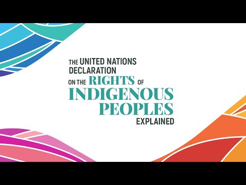 The United Nations Declaration on the Rights of Indigenous Peoples explained