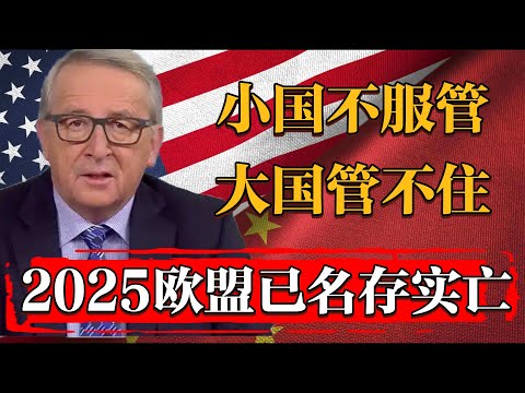 小國不服管，大國管不住，2025歐盟已是名存實亡！#纪实 #时间 #經濟 #窦文涛 #历史 #圆桌派  #文化 #聊天 #川普 #中美关系 #推薦 #熱門