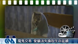 癌末魔鬼交易《貓消失》窺人性