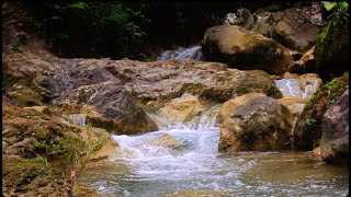 Relaxing Water Sound Keeps: Amazing of soothing river sounds for relaxation and stress relief