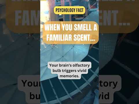 Psychology Fact, Fascinating Fact #psychologyfact #facts #randomfacts #brainandmemory #psychology