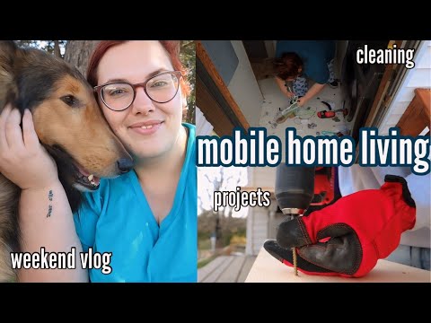 *NEW* LARGE FAMILY MOBILE HOME LIVING | homemaking in the doublewide | projects | whole weekend vlog