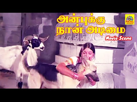 அன்புக்கு நான் அடிமை | சூப்பர் ஹிட்  அதிரடி ஆக்சன் திரைப்படம்  Climax  சீன்ஸ் #superhitscene #tamil