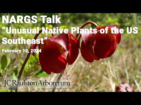 NARGS Talk - Zachary Hill - "Unusual Native Plants of the U. S. Southeast"