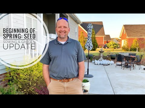 Beginning of Spring: seed sowing & garden update