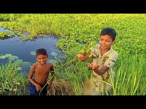 Children are having fun together by bringing flowers from the water। kids episode34