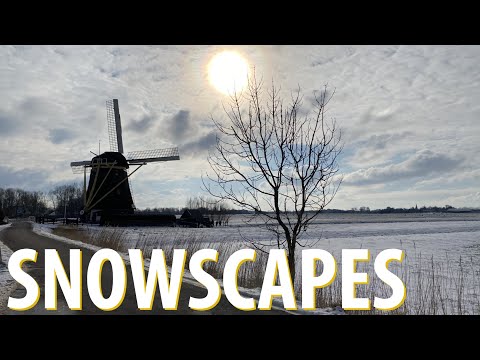 Dutch Snowscapes- Cows & Windmills in the Snow