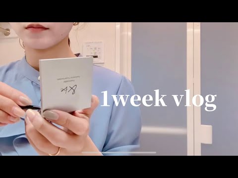 vlog I A week in which I valued my family and myself while working hard. Wedding Anniversary Lunch 🍽