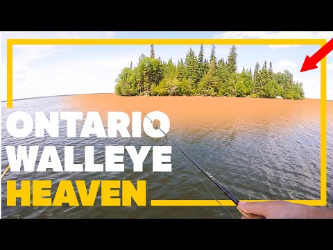 The HOLY GRAIL of Walleye Fishing! (Onaman Lake Ontario)