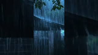 Rain Sounds for Sleeping | Heavy Rain and Thunderstorm Sounds for Sleeping | Nature Rain | #shorts