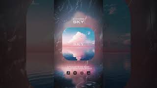 SynthSee - Sky  #dnb #drumandbass #iparallels #radioshow #dubstep #drumstep