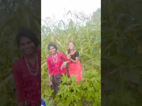 Arjun R Meda Tane Makai No Hu Dodo Aalu Khava Karin Desi Village Girls Reels Video 2024 #trending