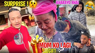 Surprised Gift to MOM ?? || Rabbit vai ear piercing || MRB Vlog ||