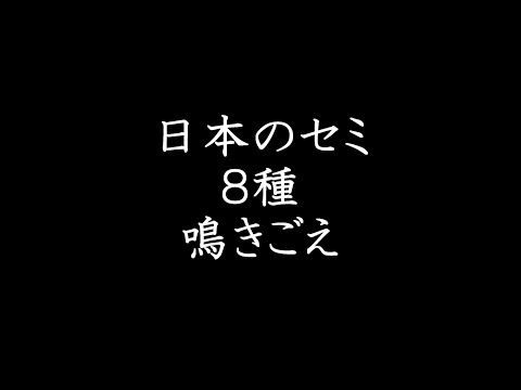 日本のセミ【代表的８種】鳴き声（聞き比べ）