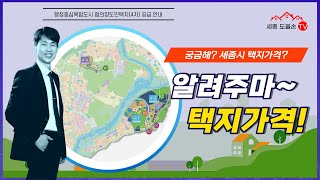 세종시 토지가격. 협의양도인택지를 중심으로 알아보는 세종시 토지. 세종시 건설지역 단독필지 근생용지는 얼마?  [세종 도울손 공인]