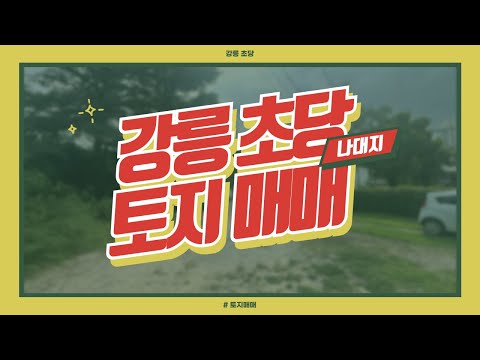 [강릉 초당 토지매매] 초당동 카페거리 즉시 건축 가능한 나대지 (2종일반주거지역)