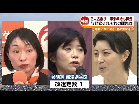 【特集】2025夏の政治決戦「参院選」　与野党　年末年始も奔走…課題も《新潟》