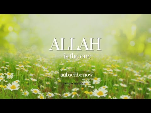 Discover the Shocking Truth About Allah's Unity | Kids Rhymes | Allah is The One | Love Of Allah