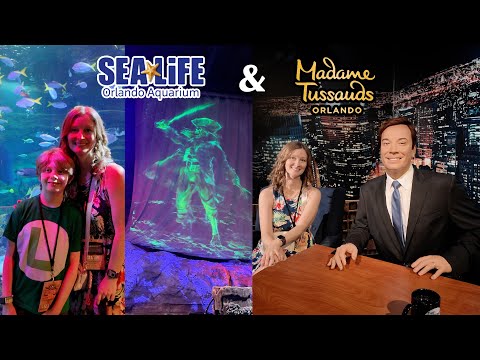 Sea Life & Madame Tussauds Wax Museum at Icon Park Orlando