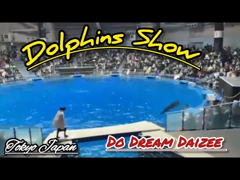 Dolphin Show #tokyojapan #dolphinshow #viral #trending #satisfying #DoDreamDaizee