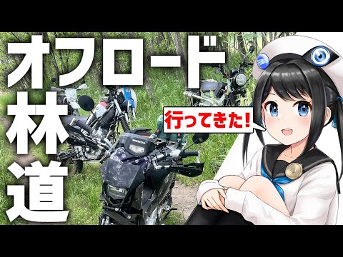 【雑談】道…なし！久々に河川敷オフロード行ってきました!【Vtuber】＃Vtuber #モトブログ