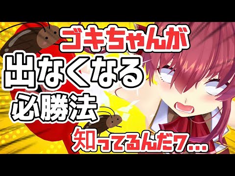 【宝鐘マリン　切り抜き】船長が教えるGへの必勝法とは！？ ころね先輩の家にも現れた　戌神ころね　船長ライフハック ホロライブ三期生　雑談切り抜き