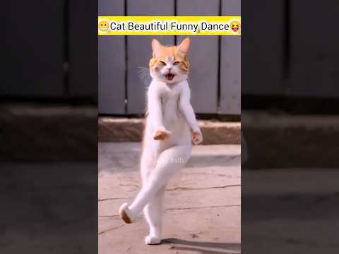 Cat Beautiful Funny Dance😝😋😁#dance #funny #cat