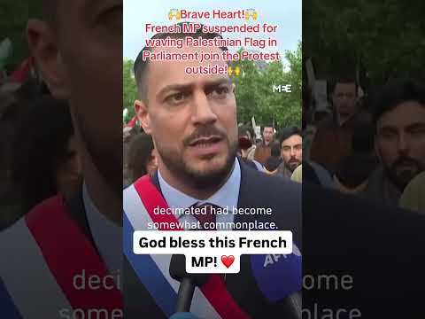 French MP suspended over a flag!