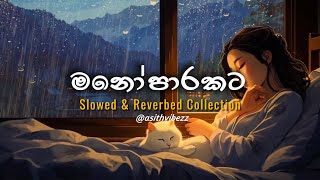 මනෝපාරකට සින්දු (slowed+reverb) | manoparakata sinhala song | Mind Relaxing Sinhala Songs Collection