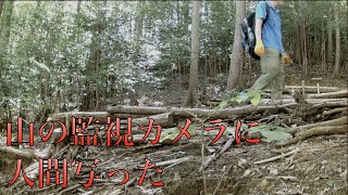 ついに侵入者が写った【山開拓】#51