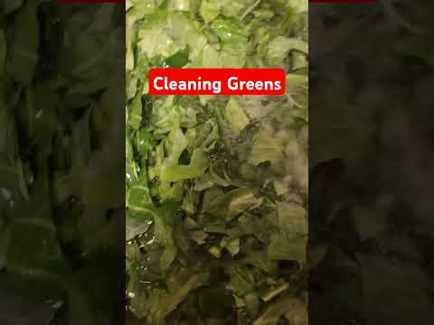 Cleaning Greens. #soulfoodcooking #soulfood #collardgreens #asmr #youtubeshorts