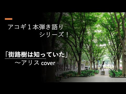 街路樹は知っていた〜アリス cover