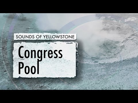 Congress Pool — ASMR, Sleep, Concentration (Sounds of Yellowstone)