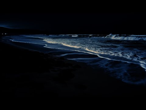 Peaceful Ocean Waves for Sleeping |  Sleep, Study, Insomnia Relief | Beach Sounds 24 Hours