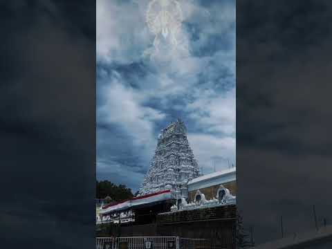 Om namo venkatesaya #tirumala #tirupati #tirumalatirupati #shorts #ytshorts #venkitraveldiary #viral