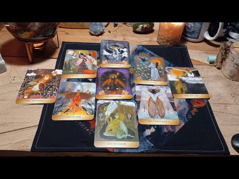 The Enchanted Förhäxa Tarot Deck Interview