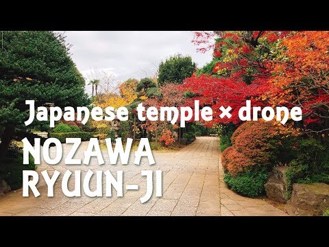 Jpanese temple ✖ drone  -Nozawa ryuunji-