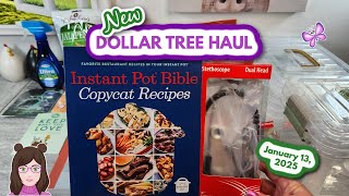 New DOLLAR TREE HAUL!!  Fun Finds!! January 13, 2025