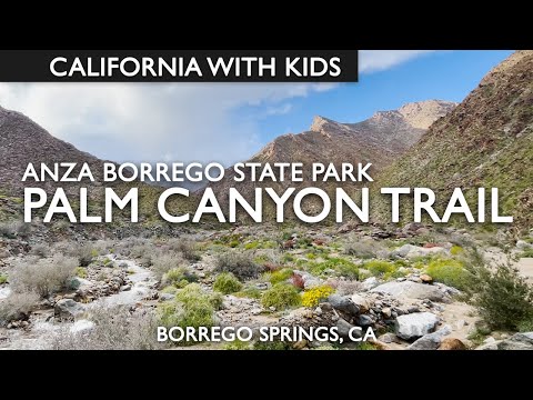 Palm Canyon Trail In Anza Borrego State Park