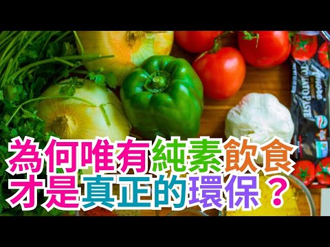 2024.01.24 為何唯有「純素飲食」才是真正的環保？ (Why Only "Being Vegan" Is Truely  Environmentally Friendly?)