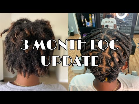 3 Month Loc Update + Mini Vlog | Two Strand Twist Starter Locs| Loc Journey