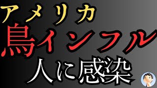 鳥インフルエンザ感染！重傷患者入院😱