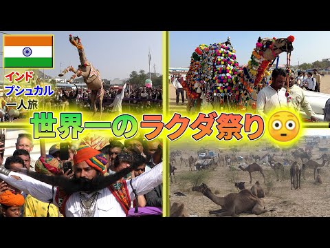 【インド】世界一のラクダ祭り・プシュカルメーラーに行ってみた🐪🐫🐪