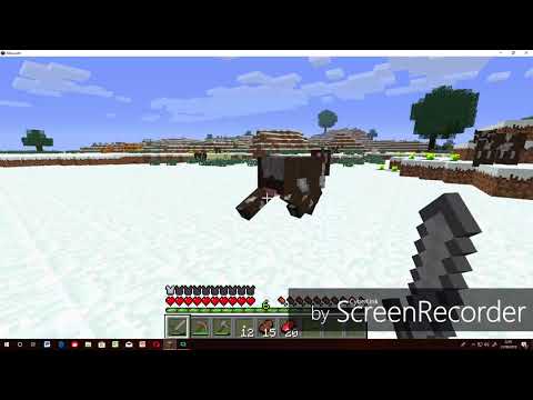 Minecraft 1.0 gameplay - parte #2