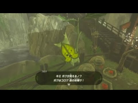 ゼルダの伝説 ブレス オブ ザ ワイルド #2 勘のいいガキはコログ見つける