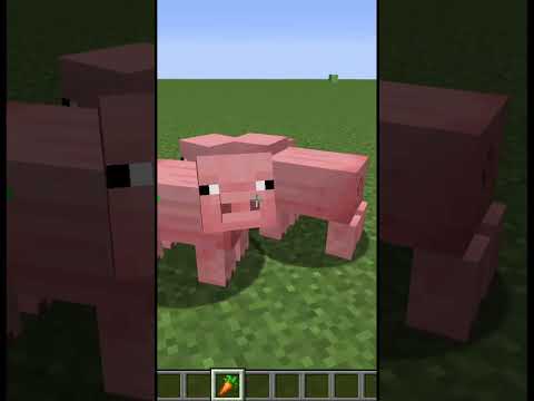 Minecraft Loving Pigs Part 4 #Shorts