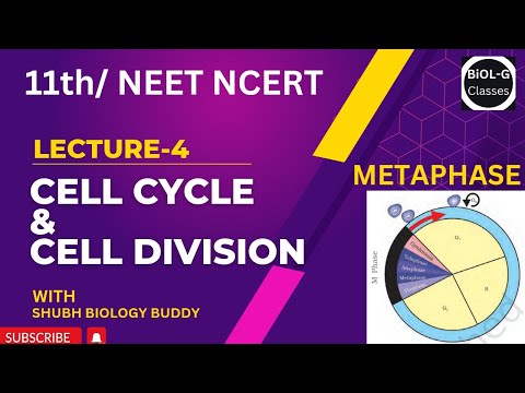 Lec-04 Cell cycle & Cell division METAPHASE #neet2023 #neetbiology #biologyncert #neetbiologyconcept