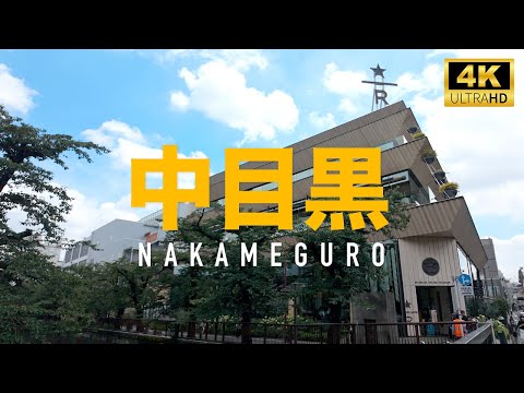 中目黒 A walk by Meguro River at Nakameguro, Starbucks Reserve [4K 60fps ASMR]