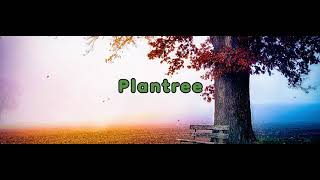 패시브하우스  시공사 Plantree [플랜트리] #shorts