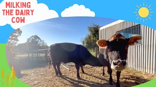 Where Does Milk Come From? | Milking Cows & Farm Adventures for Kids | Fun Farm Videos